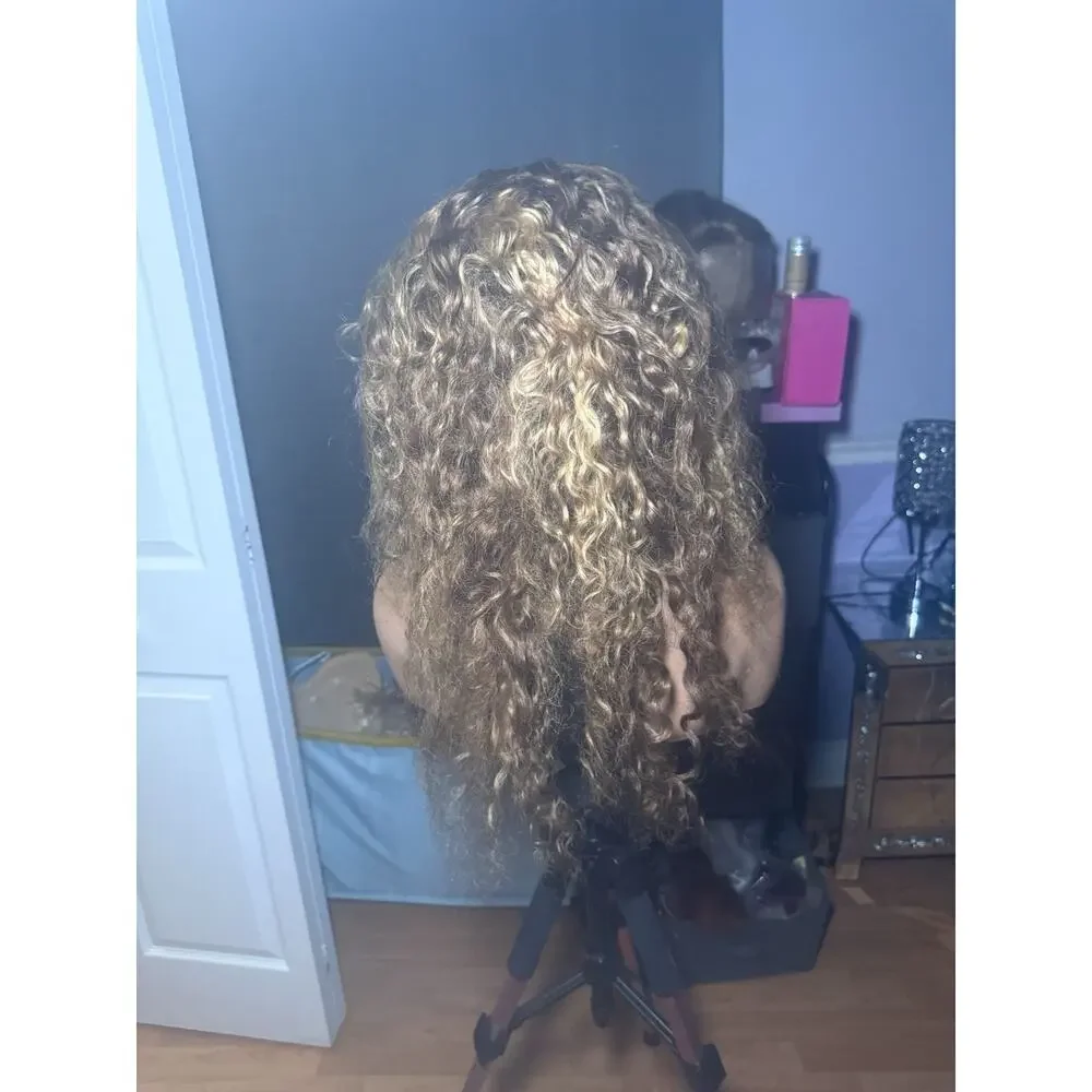 Brown Human Hair Lace Front Wig Curly with Highlights